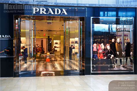 prada candian franchise|prada canada online shopping.